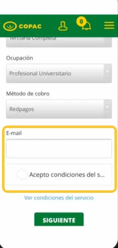 Campos de mail y de aceptación, resaltados